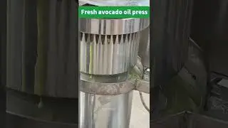 Fresh avocado oil press machine hot and cold multifunctional hydraulic oil mill #oilpress #oilmill