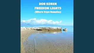 Freedom Lights