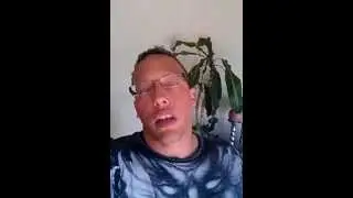 Internet Lifestyle Network review and results