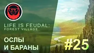 Life is Feudal: Forest Village &mdash; #25 Ослы и бараны