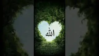 Today beautiful Islamic video for all Muslim 