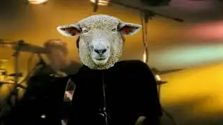 Sheep (Radiohead 