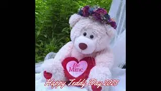Why we celebrate teddy day, #shorts