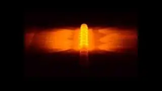 Safety Stick LED Signallicht mit Gurtmesser und Sicherheitshammer