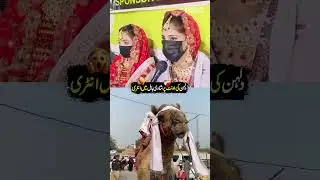 Bride&rsquo;s Grand Entrance: Arrives at Wedding Hall Riding a Camel 😍😍| Discover Pakistan shorts