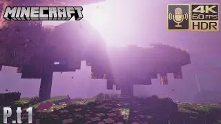 Minecraft PS5 Prizma Shaders Vibrant Visuals Ultra Realistict Graphics 4K UHD 60FPS Y HDR