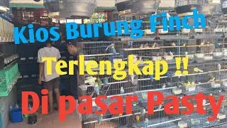 Penggemar Burung Finch Merapat ‼️ Di Kios Ini Banyak Burung Berbulu Indah || Kios Burung Mas Frengky
