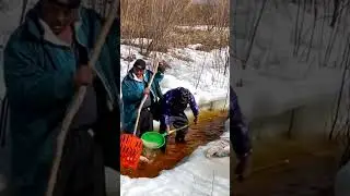 outdoor #fishingtechniques #carpfishing#ihavethisthingwithplants#0180