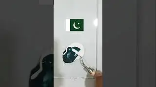 Pakistani flag 🇵🇰 #colors #asmr #satisfying #colormixing #pakistan #flag