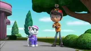 PAW Patrol: Daring Danny X Meets Roxi.