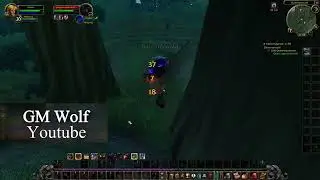 Geisterhaarfaden | Ghost Hair Thread | WoW Classic Quest