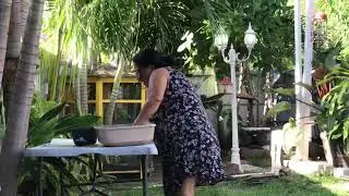 La finca madre 2020