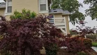 Century 21 Real Estate Alliance - 2915 North Texas Street unit #145