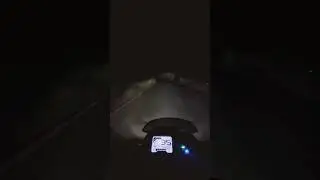 GOA Mollem National Park & Wildlife Sanctuary NIGHT RIDE IN FORSTER #shorts #goa #viral #viralvideo