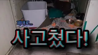 제대로 난리친 라이온 다 뒤집어 엎었다