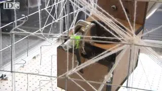 Robotic spider weaves web at MIT Media Lab