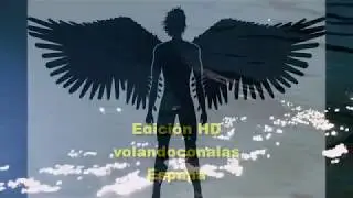 SARAH McLACHLAN - Angel - Subt&iacute;tulos en Espa&ntilde;ol -volandoconalas