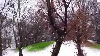 Prima neve Milano 27 Dicembre 2014 - The First Snow in Milan, Italy