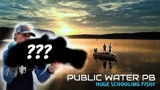 HUGE Schooling Bass!! (Public Water PB) Calling Panther Lake