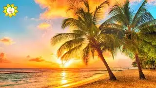 9Hrs Warm Breeze - Soothing Harp Music with Ocean Waves for Study, Work, Read, Relax 🐬19