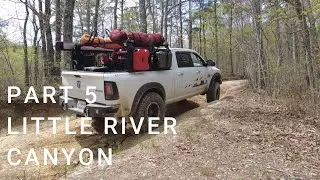 OUR WHIRLWIND ALABAMA ADVENTURE PART 5