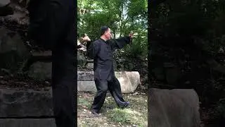 19 Form 十九式 Part 4 | Master Ren Guangyi 任广义 | Chen Taijiquan Tai Chi 陳氏太极 | Chi Force