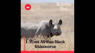 5 Extinct animals in the world | दुनिया में 5 विलुप्त जानवर |know Bot #shorts