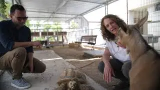 Civilians in Israel need therapy | Passages & Hagar Scnell