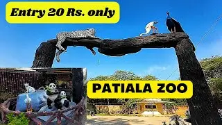 PATIALA ZOO // Ticket price 20 Rs.only // चिड़िया घर पटियाला New updates #patiala #zoo