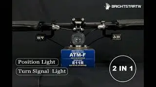 Turn Signal Blinkers with Position Light E-MARK ATM-F
