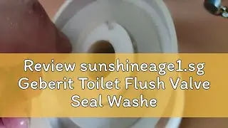 Review sunshineage1.sg Geberit Toilet Flush Valve Seal Washer Rubber Replacement Pack 5 Pieces 8164