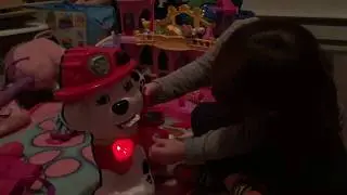 Paw Patrol Treat Time Marshall
