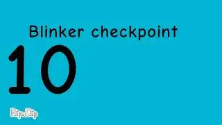 Blinker checkpoint
