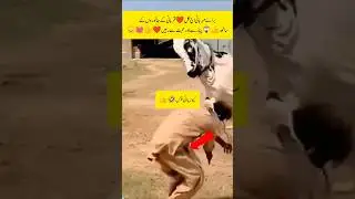 Eid al-azha 🤣 funny dell video#shorts#Eid Mubarak#funny#Eid funny video#trading#YouTube shorts#Bell