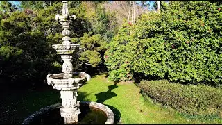 Galicia: Ruta de la camelia - Pazo Quinteiro da Cruz
