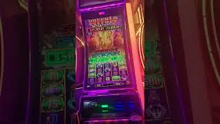 BUFFALOOOO MEGA STAMPEDE NEW GAME AT PALMS CASINO YEAHHHH VIVA LAS VEGAS 🤩 🤑 🥳 🔥 
