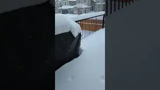 #abstorm #yycnow #yyc #calgary #snow #snowfall #snowstorm