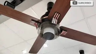 Havells Florrete BLDC U/L Fan