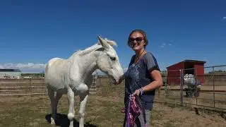 Moose and Shannon 2