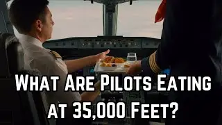 What Are Pilots Eating at 35,000 Feet? 🌍🍱