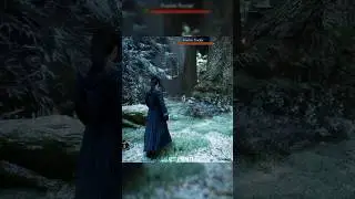 Walking Through the Forbidden Forest