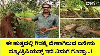 ತೋಟದಲ್ಲಿ ಹಣ್ಣಿನ ಮರಗಳನ್ನು ಹಾಕಿಕೊಂಡರೆ ಪಕ್ಷಿಗಳು ಬರುತ್ತವೆ ಚಿಟ್ಟೆ ದುಂಬಿಗಳು ಬರುತ್ತವೆ.. ಹಾಗೂ ಅದರಿಂದ ಬಿದ್ದಂತ