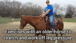 Riding Exercises with an Older Horse for softness and lateral movements