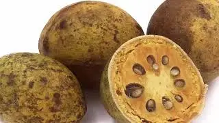 The Health Benefits of Bael Fruit Herbal Tea