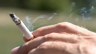 The Victorian Labor government &lsquo;don&rsquo;t have the teeth&rsquo; to shut down illegal tobacco stores
