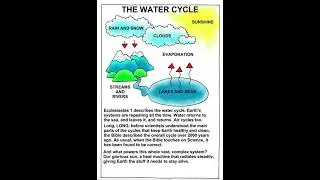 The water Cycle || Short essay in English