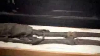 DNA shows King Tut was 