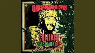 Herb Dealer Dub (Ganjaville Riddim)