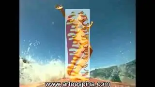 Arte Espina - Surf across your house