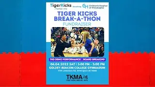 Tiger Kicks Martial Arts Break A Thon